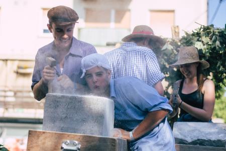 Praznik terana in pršuta